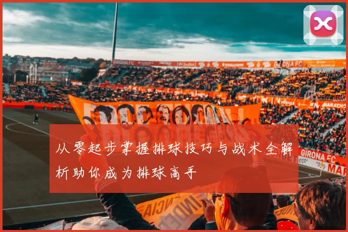 从零起步掌握排球技巧与战术全解析助你成为排球高手