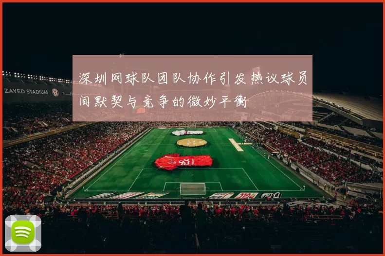 深圳网球队团队协作引发热议球员间默契与竞争的微妙平衡