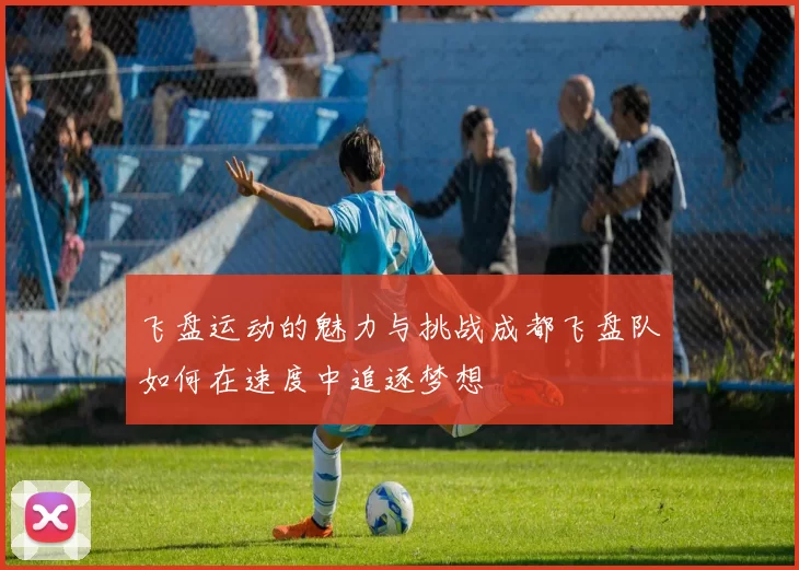 飞盘运动的魅力与挑战成都飞盘队如何在速度中追逐梦想