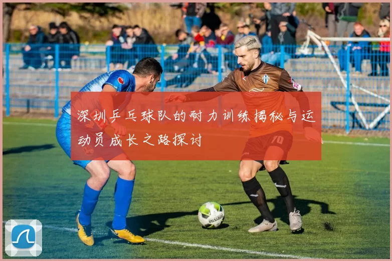深圳乒乓球队的耐力训练揭秘与运动员成长之路探讨