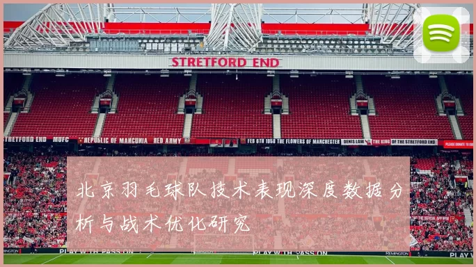 北京羽毛球队技术表现深度数据分析与战术优化研究