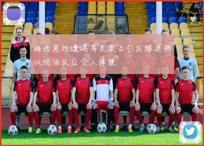 梅西意外遭遇鸟类袭击引发球迷热议现场反应令人捧腹