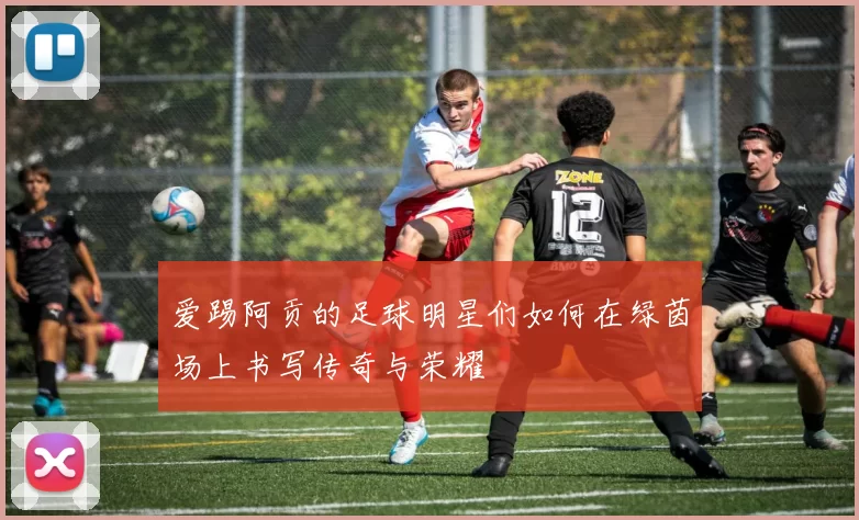 爱踢阿贡的足球明星们如何在绿茵场上书写传奇与荣耀