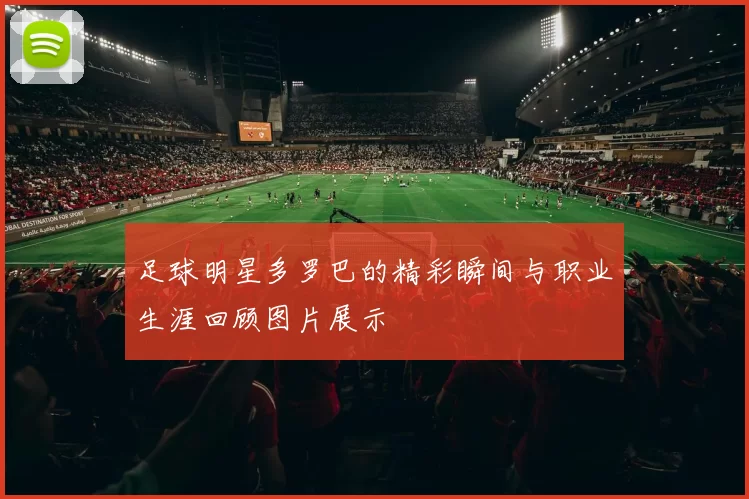 足球明星多罗巴的精彩瞬间与职业生涯回顾图片展示