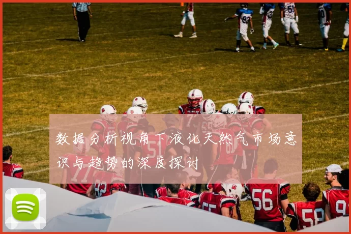 数据分析视角下液化天然气市场意识与趋势的深度探讨