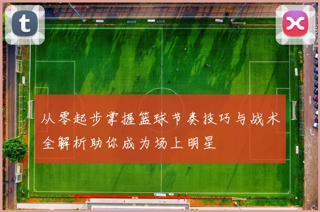 从零起步掌握篮球节奏技巧与战术全解析助你成为场上明星