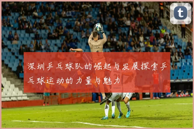 深圳乒乓球队的崛起与发展探索乒乓球运动的力量与魅力