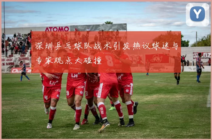 深圳乒乓球队战术引发热议球迷与专家观点大碰撞